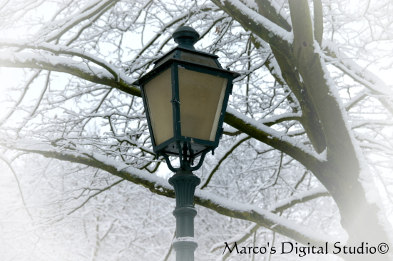 Winter Wonderland